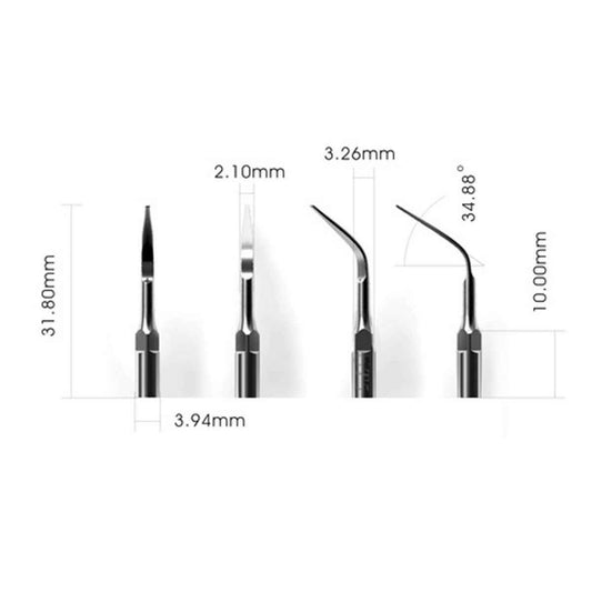 Veterinary Scaler Tips T4