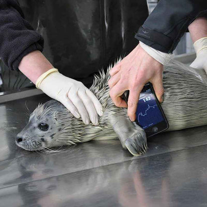 AliveCor Veterinary ECG Monitor For iPhone 5/5s