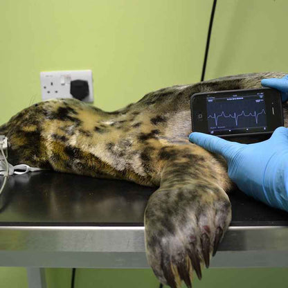 AliveCor Veterinary ECG Monitor For iPhone 7