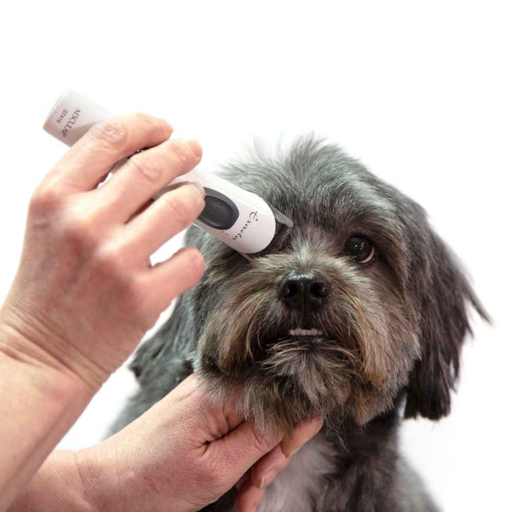 Aesculap® Exacta GT416