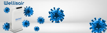 Wellisair Air Disinfection Purifier