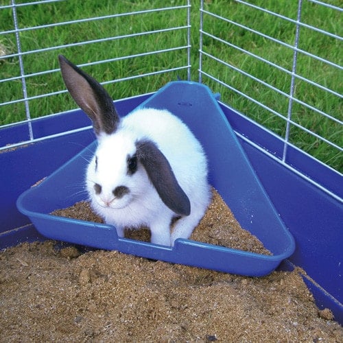 Corner Toilet for Rodent Cages