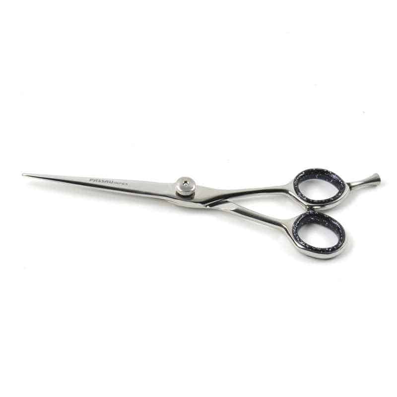 Professional Hair Scissors